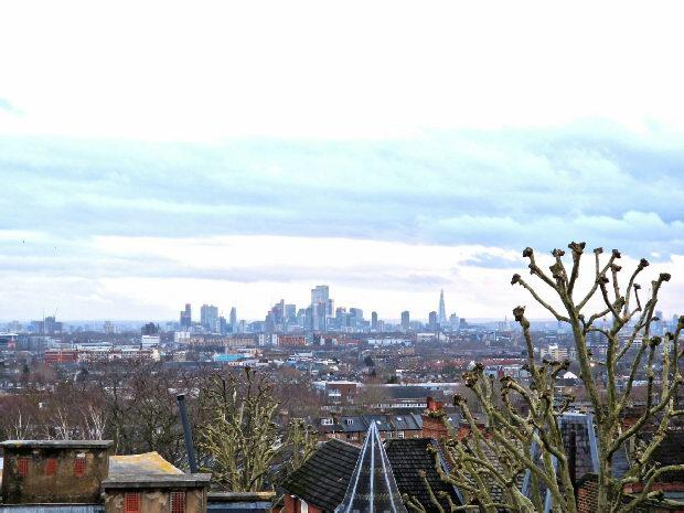 Roof Top View