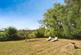 Additional image 17 of Junction Road, Bodiam, Robertsbridge, East Sussex, TN32