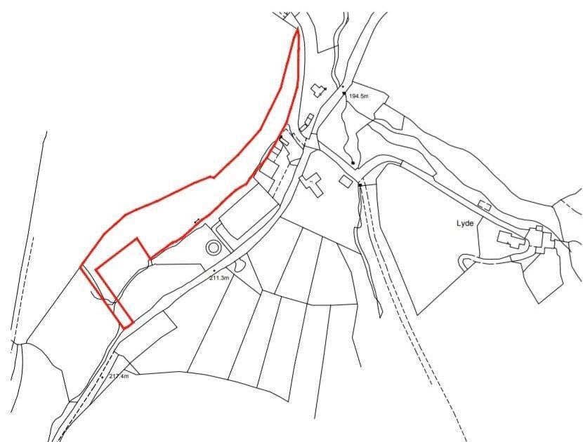 Woodland Minsterley3.jpeg