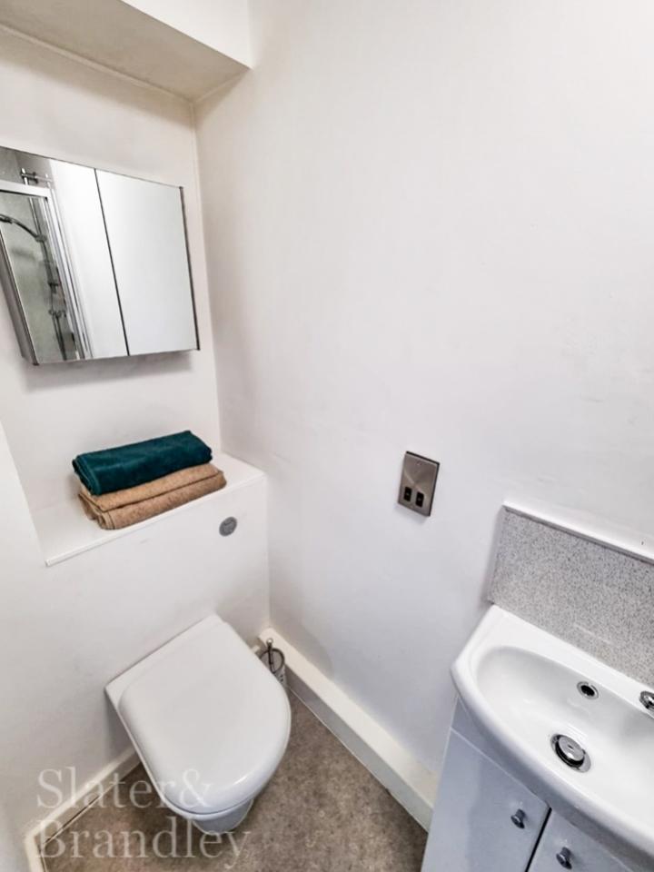 Lrg Bathroom1 Pic6 A