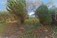 Additional image 9 of Lorne Gardens, Croydon, CR0