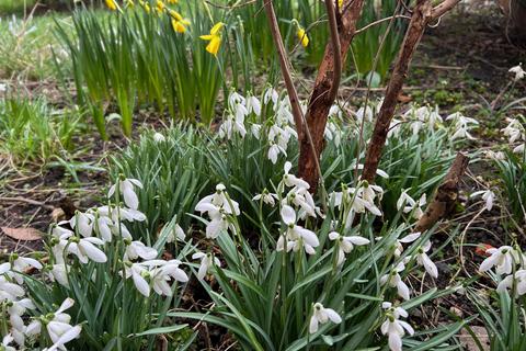 undefined, Havyatt BA6