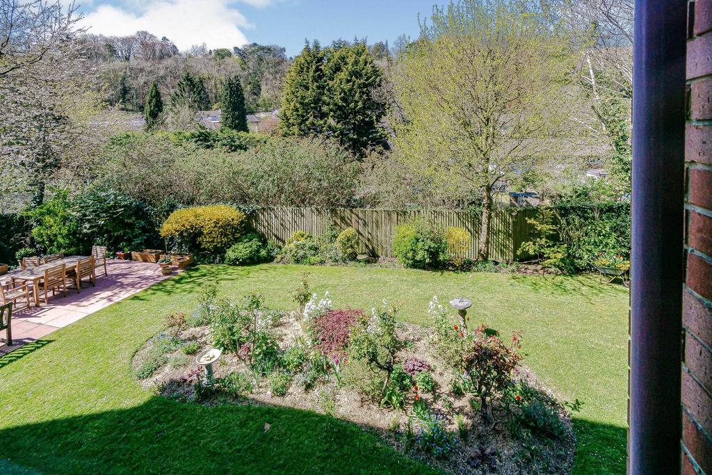 Rear Views of Garden