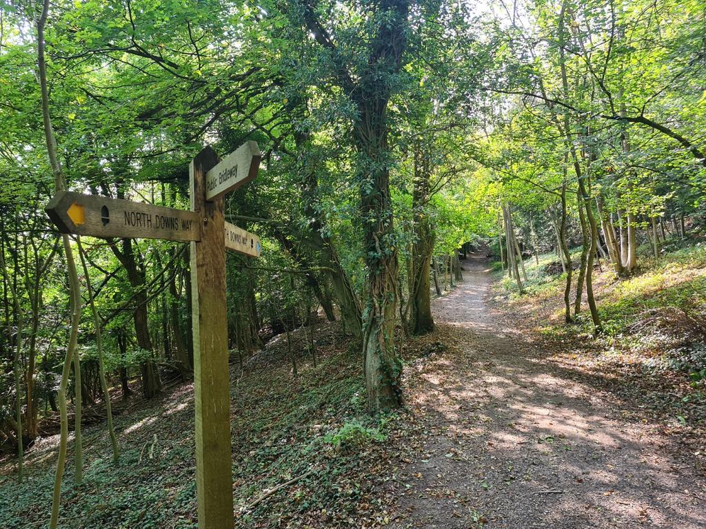 Nearby North Downs