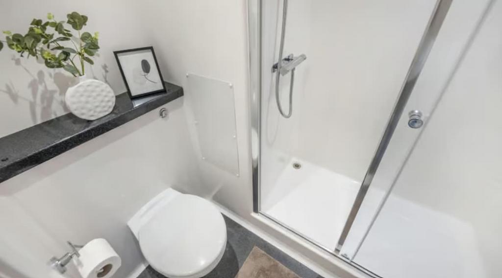 Screenshot 2026-02-10 171009.jpg