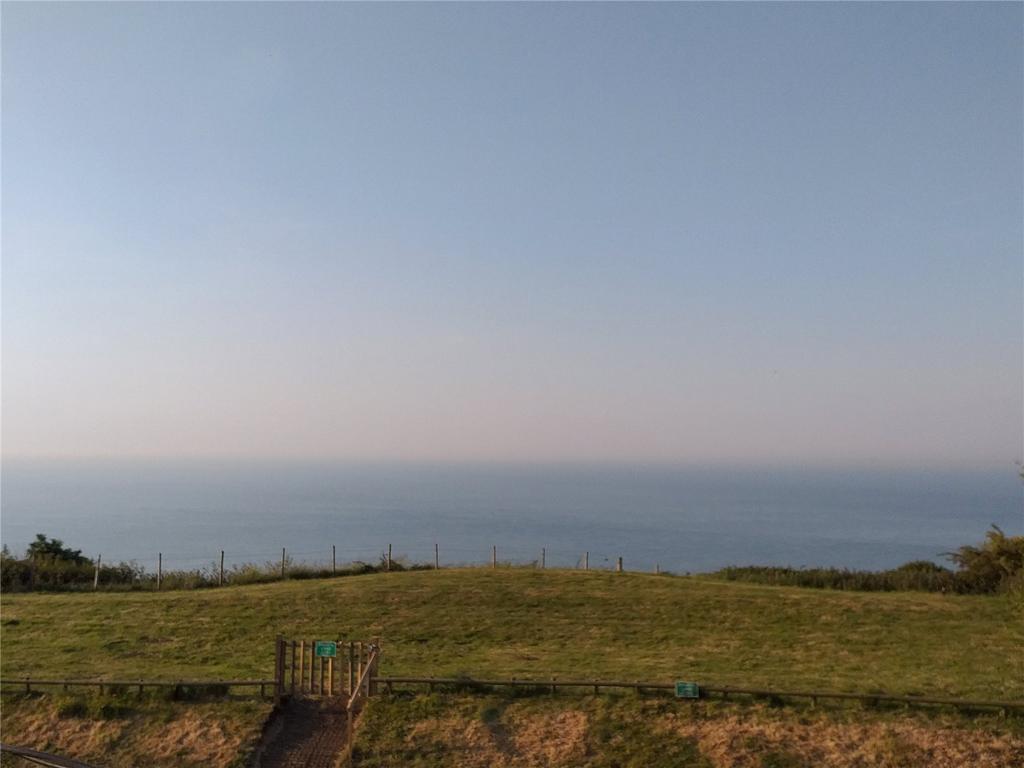 Terrace View