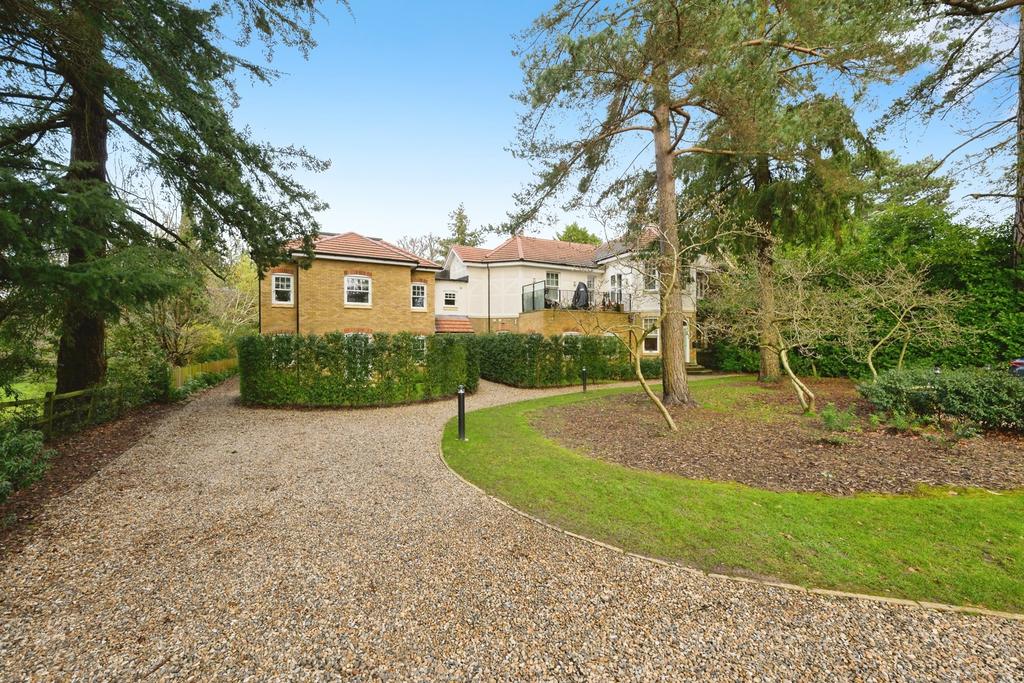 Pbox-IMG.jpg