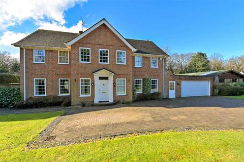 undefined, Autumn Walk, Maidenhead, Berkshire, SL6