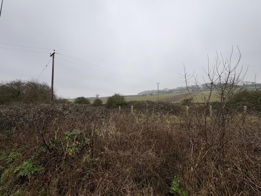 6 T202602091545.jpg