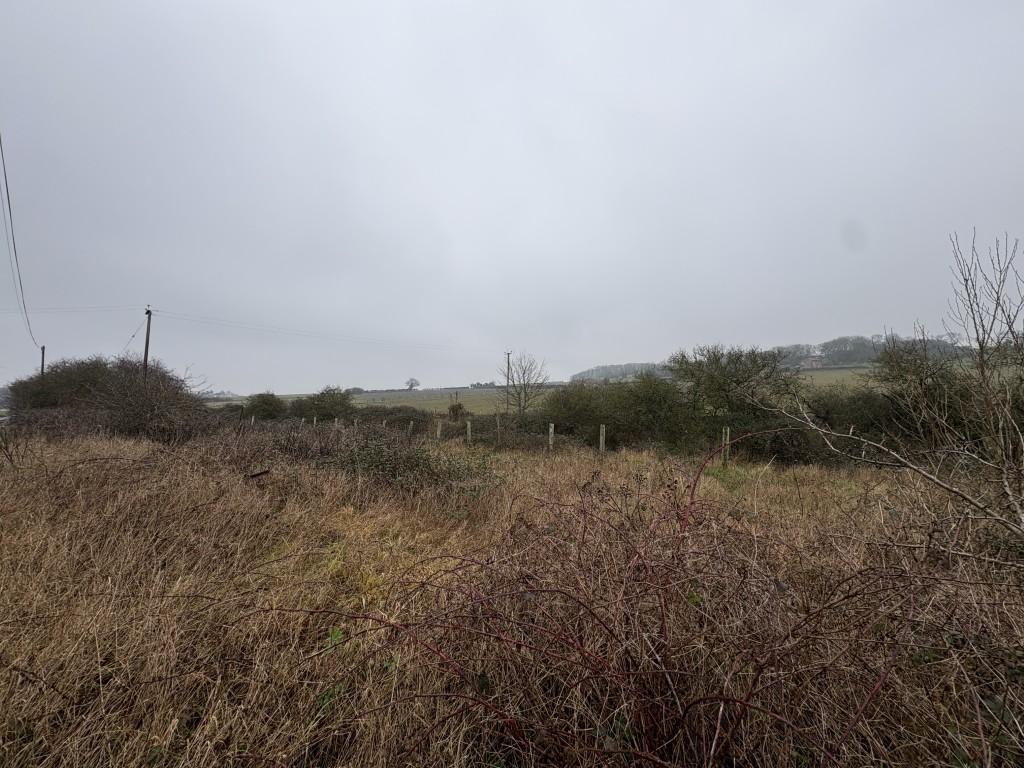 7 T202602091545.jpg
