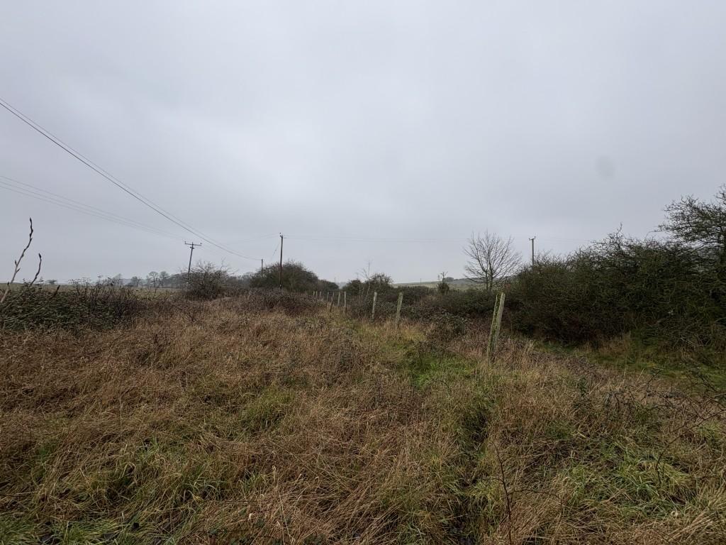 8 T202602091545.jpg