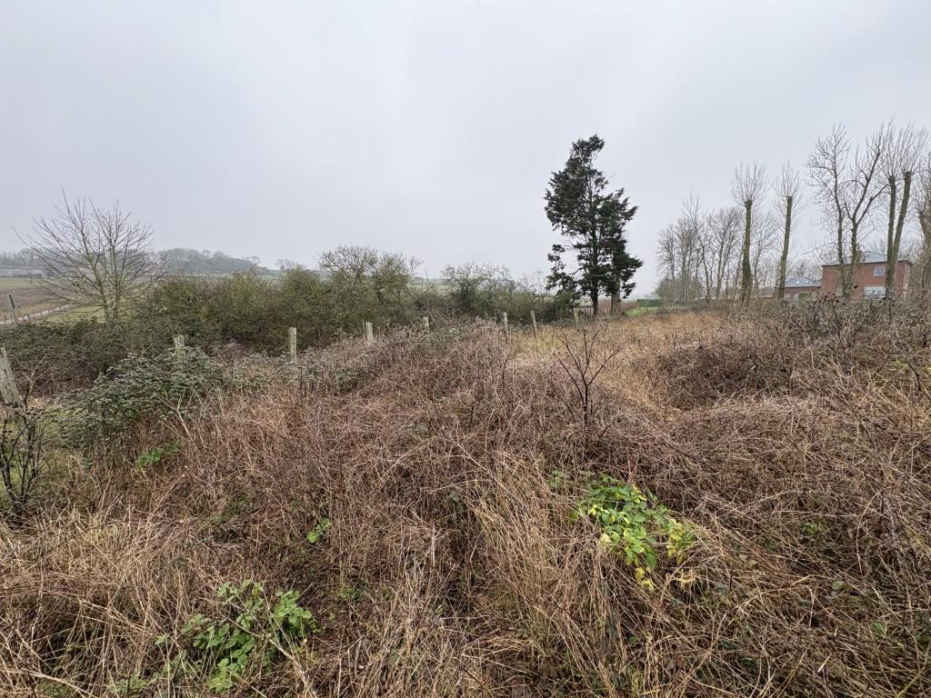 10 T202602091545.jpg