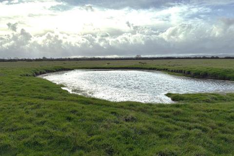 undefined, Sloway Lane, West Huntspill, Highbridge, Somerset, TA6