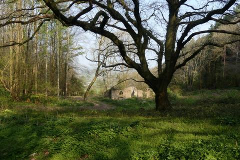 Land for sale, Ruin Copse, Banwell, North Somerset. BS29