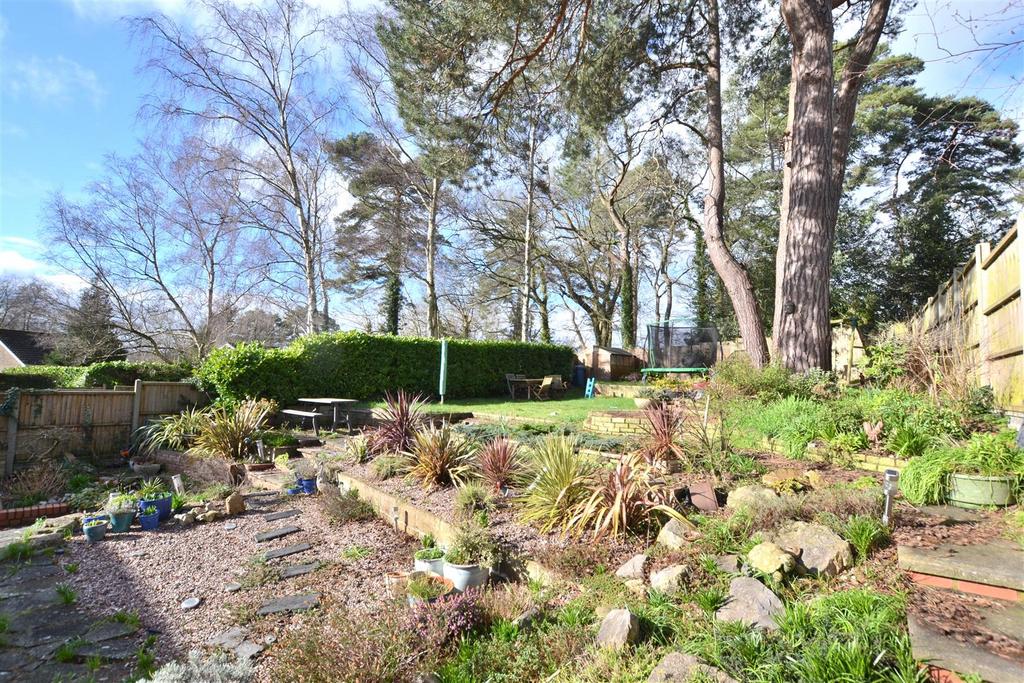 Garden 1.JPG