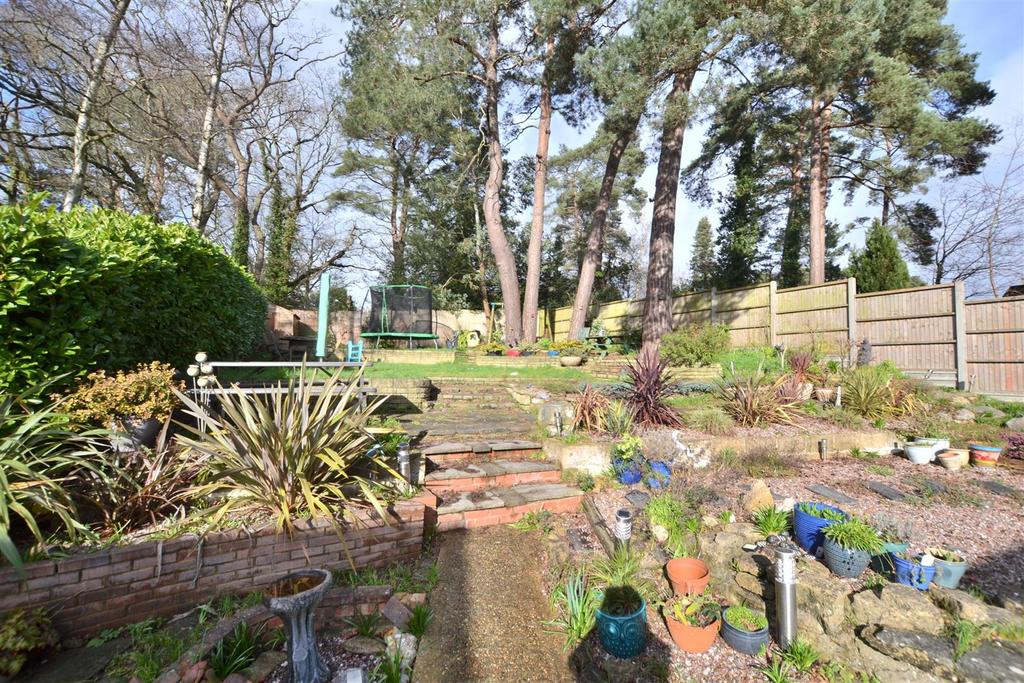 Garden 2.JPG