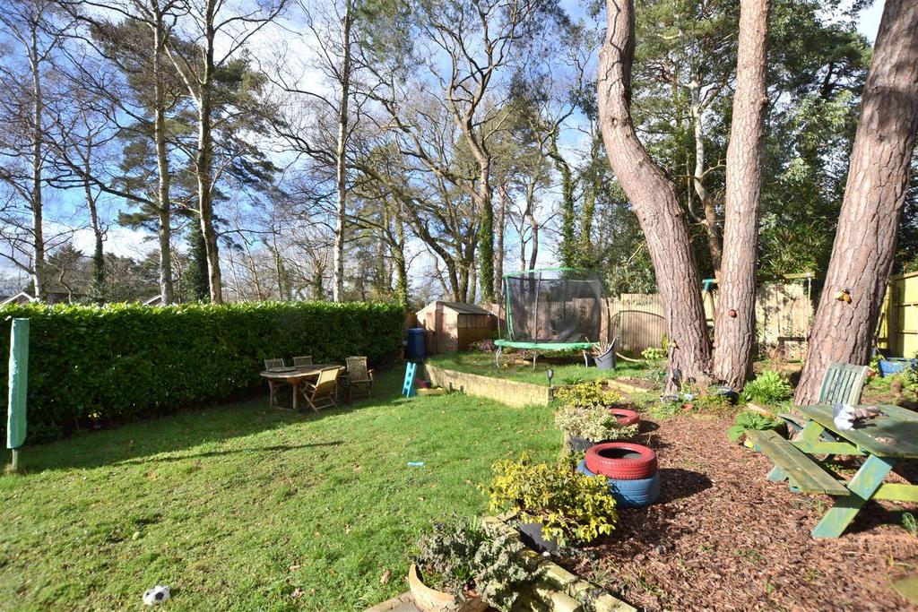 Garden 4.JPG