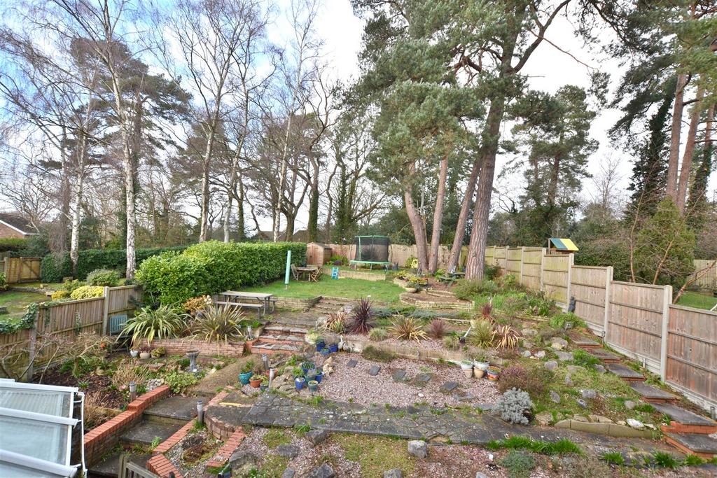 Garden 6.JPG