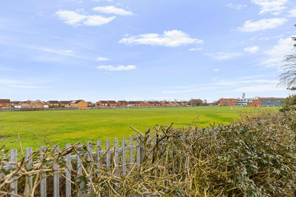Field View