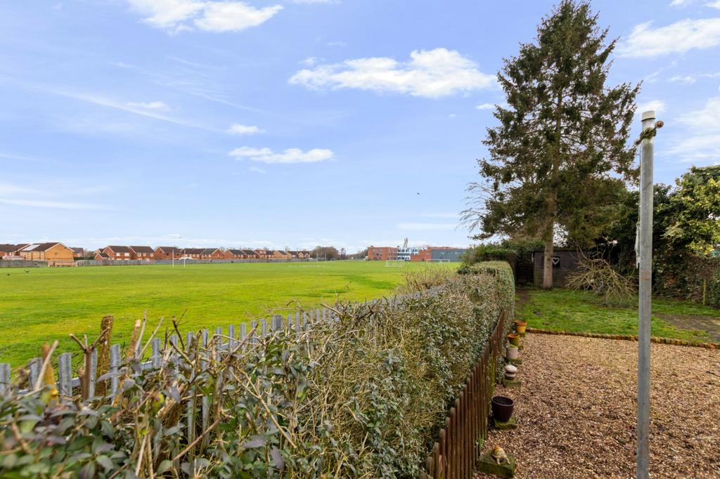 Field View