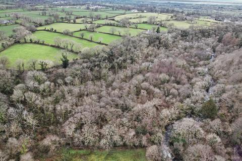 undefined, Woodland, Bontnewydd - 10ac