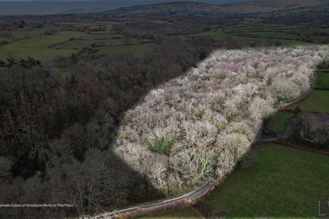 undefined, Woodland, Bontnewydd - 10ac