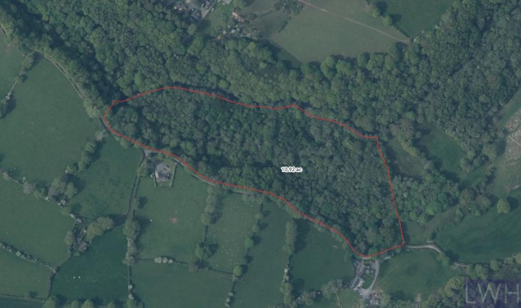 Satellite Map
