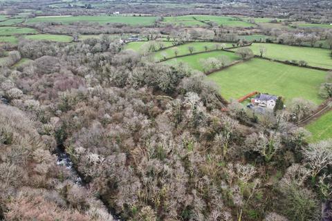 undefined, Woodland, Bontnewydd - 10ac