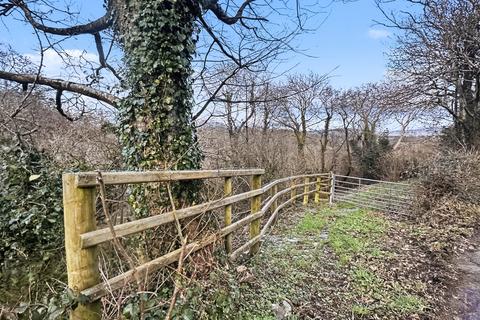 undefined, Woodland, Bontnewydd - 10ac