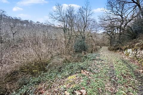 undefined, Woodland, Bontnewydd - 10ac