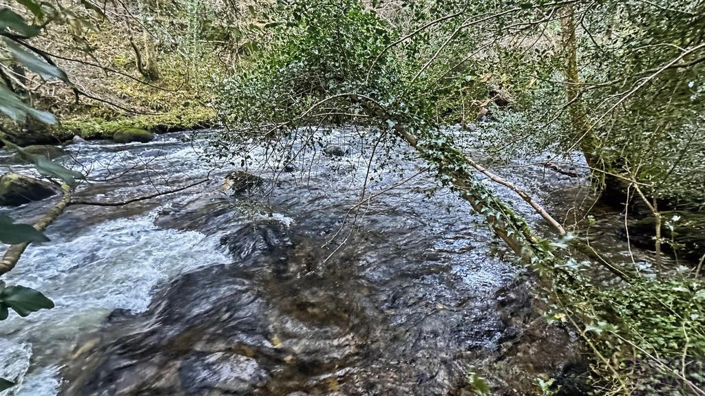 River Frontage