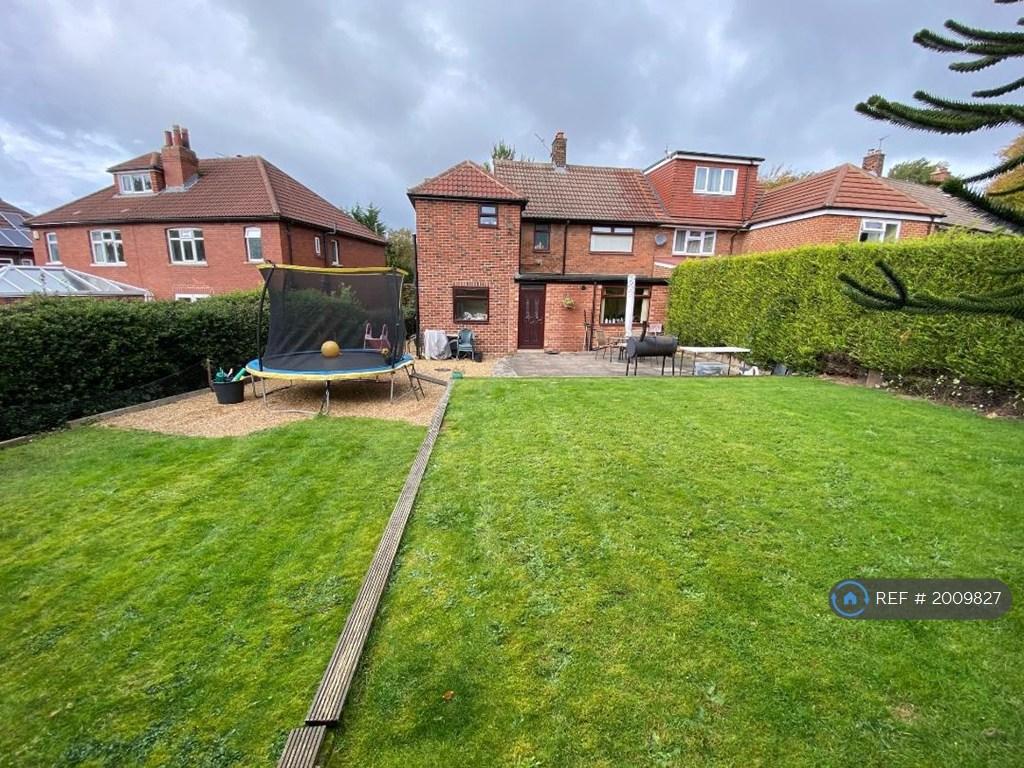 Large Back Garden