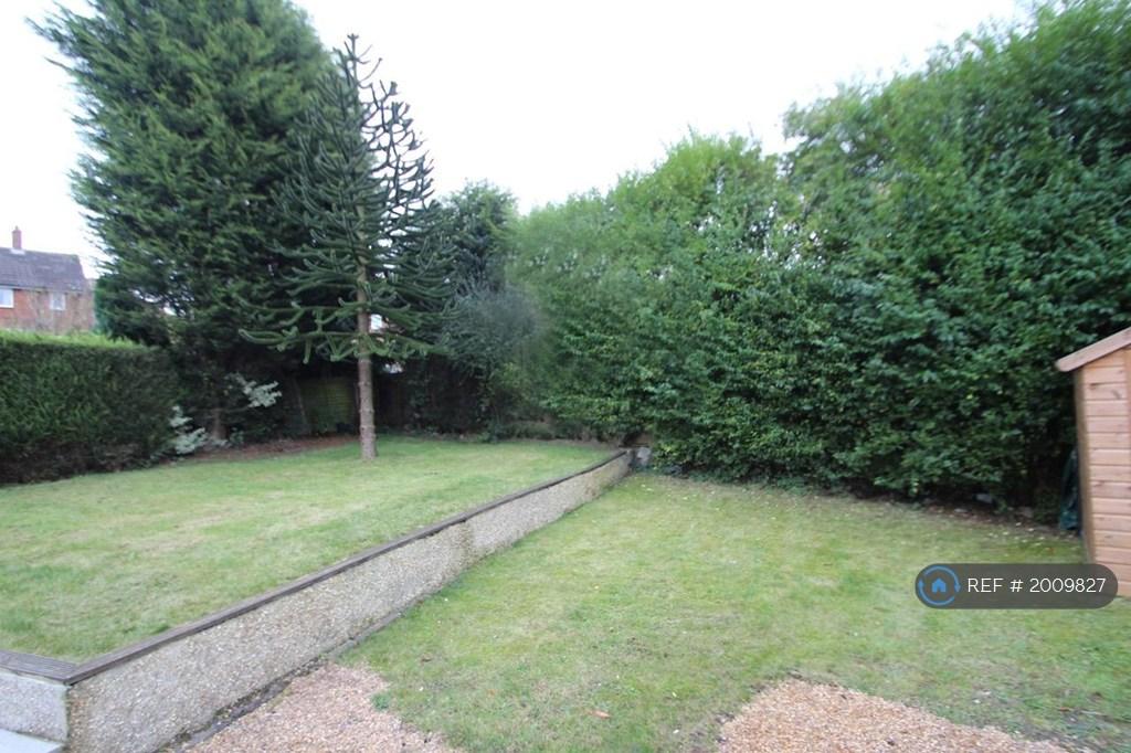 Large Back Garden