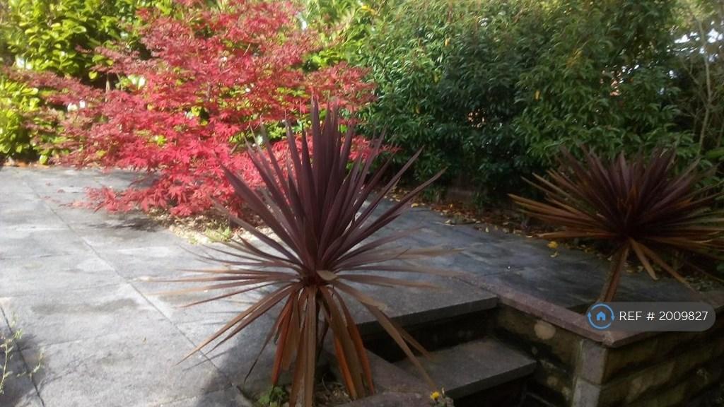 Front Patio Garden