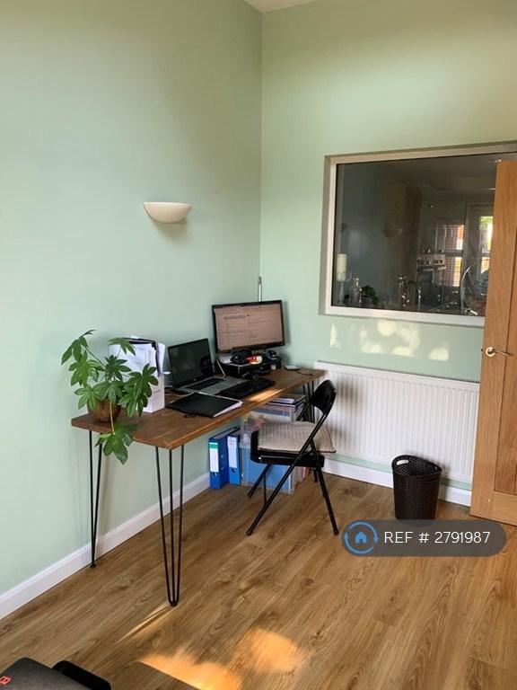 Office/Playroom/Gym