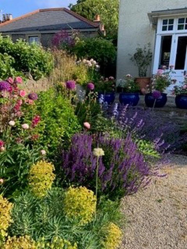 Flowers in summer