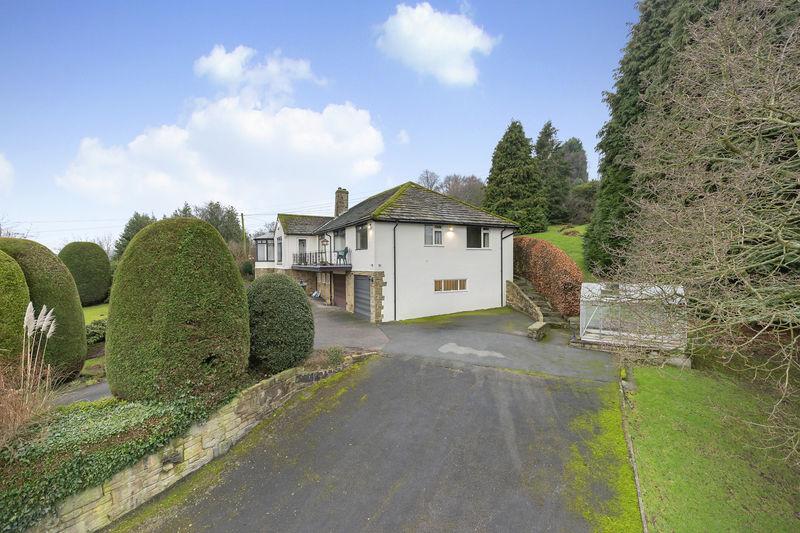 Photo 34
