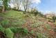 Additional image 10 of Penzance TR19
