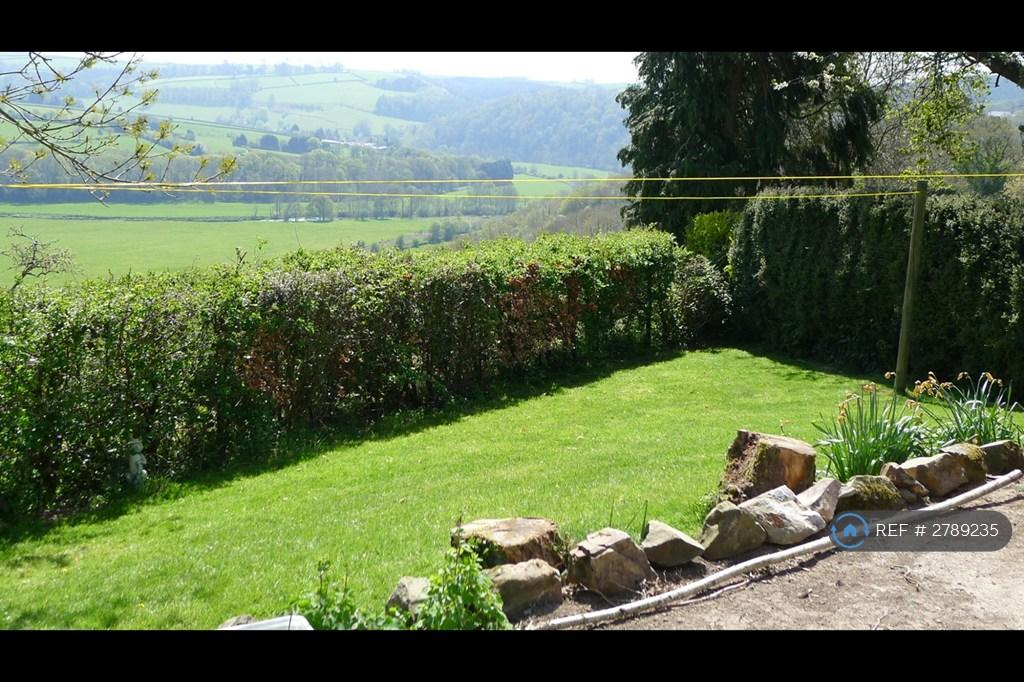 Shared Garden