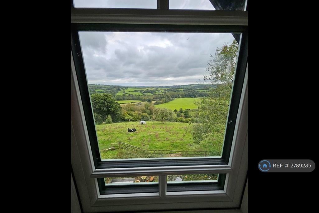 View From Kitchen
