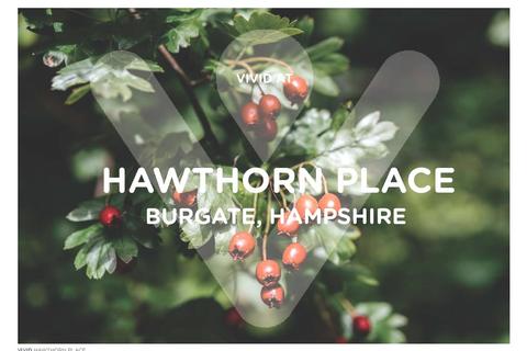 undefined, Burgate, Fordingbridge, Hampshire, SP6