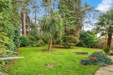 undefined, St. Ives Wood, St. Ives, Ringwood, BH24