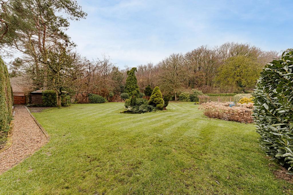 Rear Garden (2)