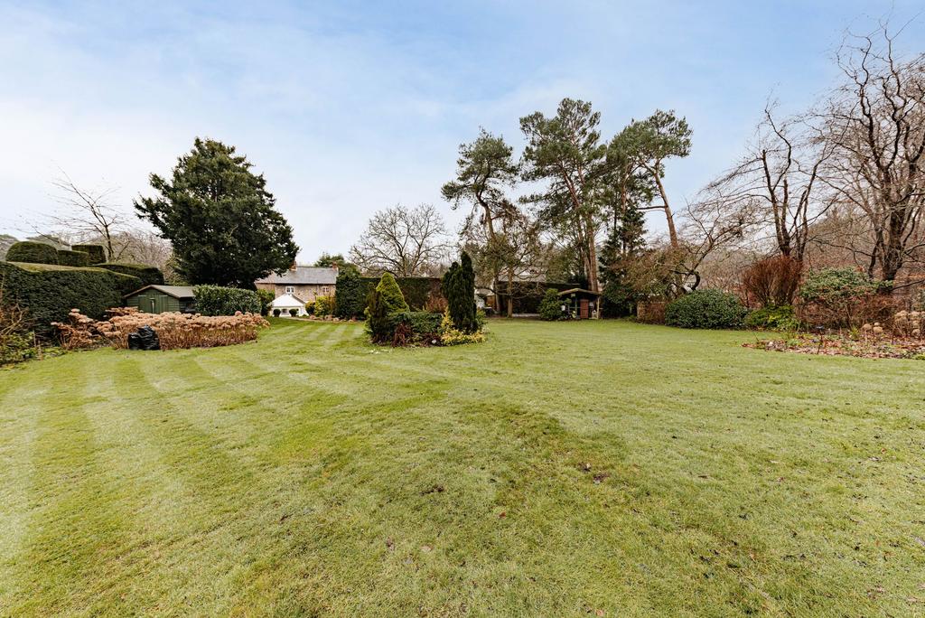 Rear Garden (3)