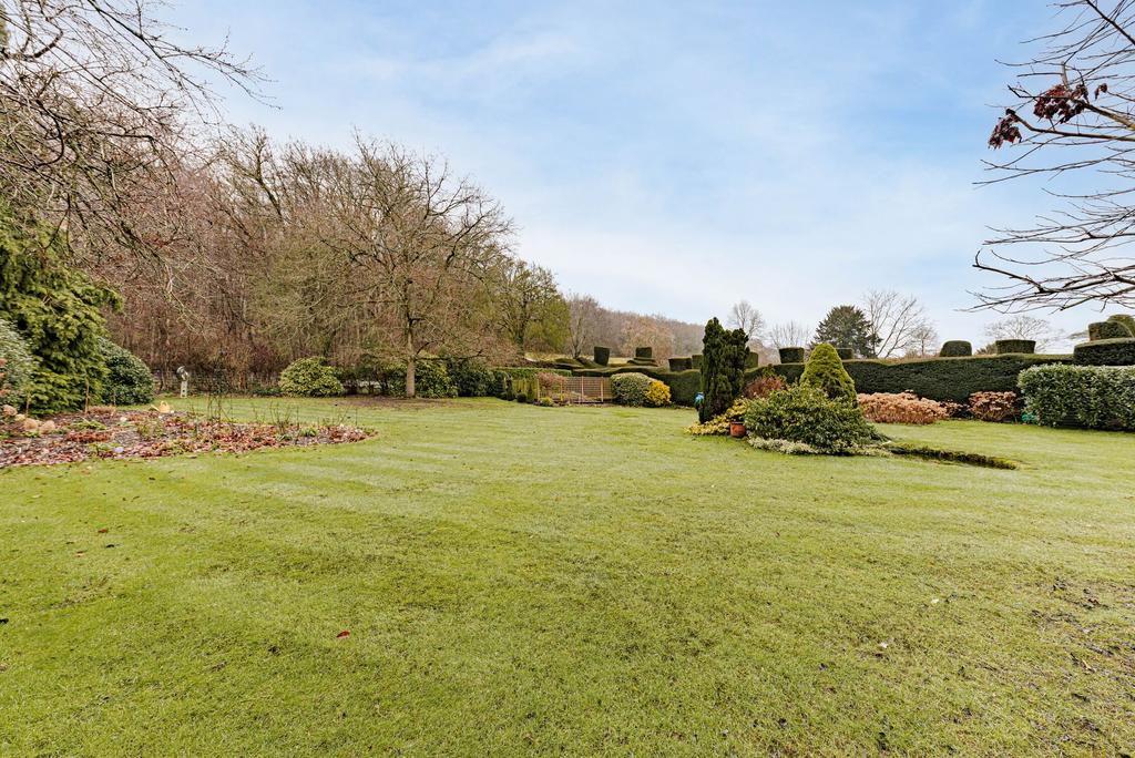 Rear Garden (4)