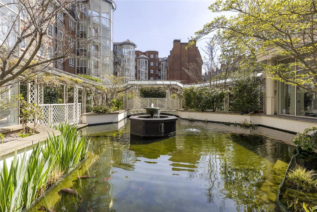 Pond
