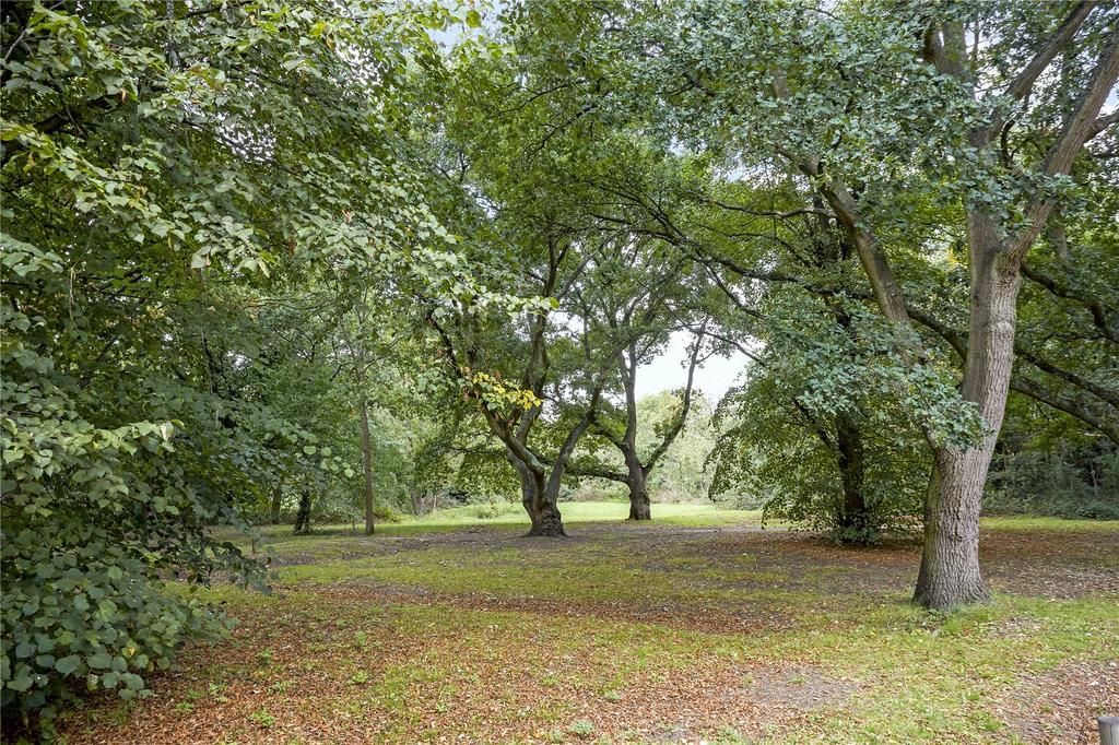Area
