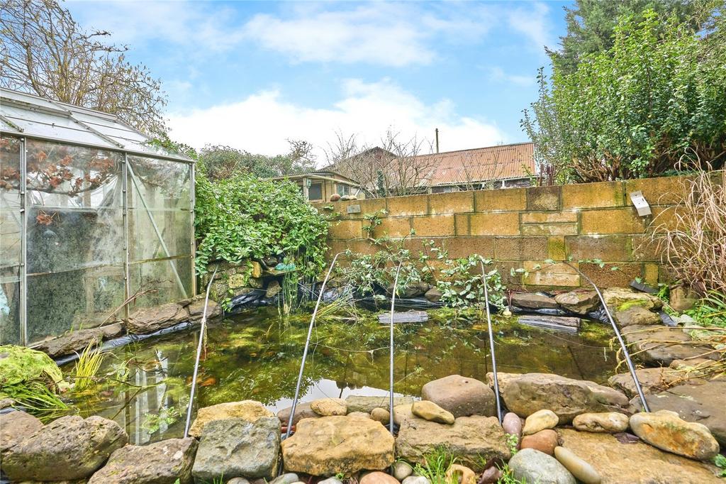 Pond