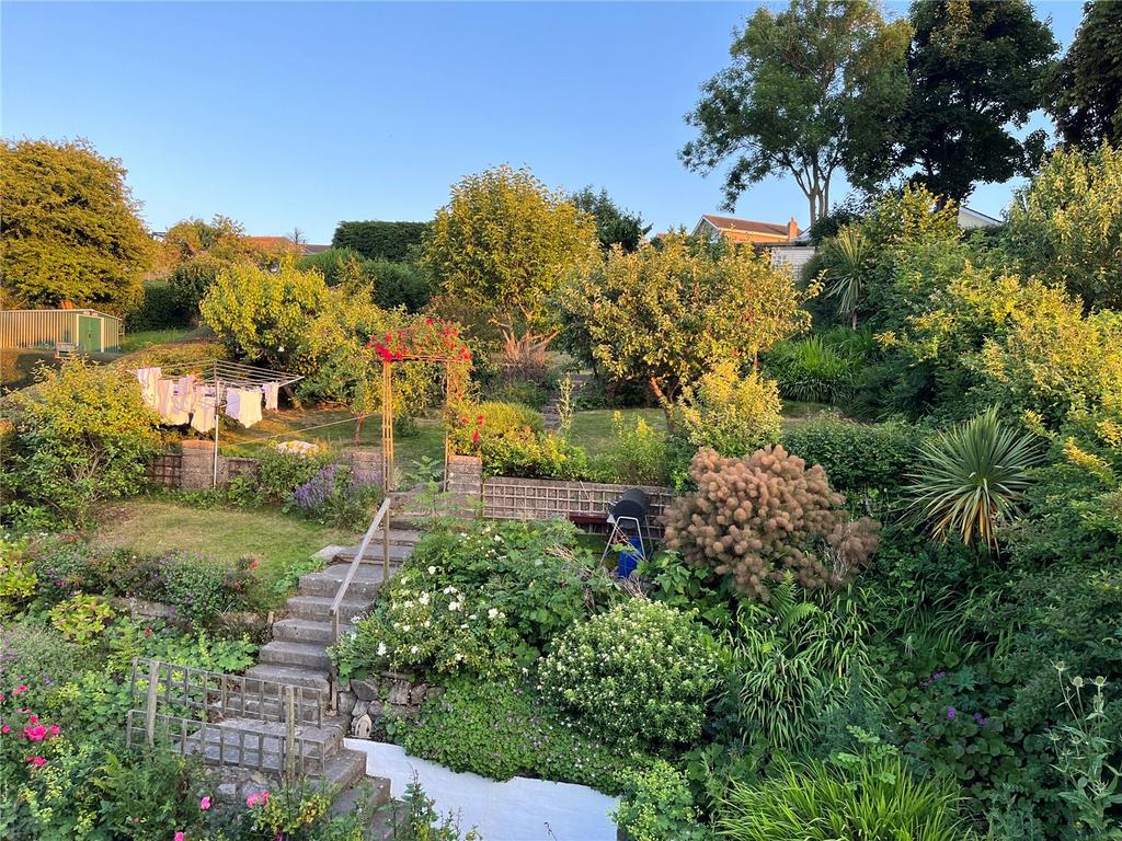 Garden (Summer)
