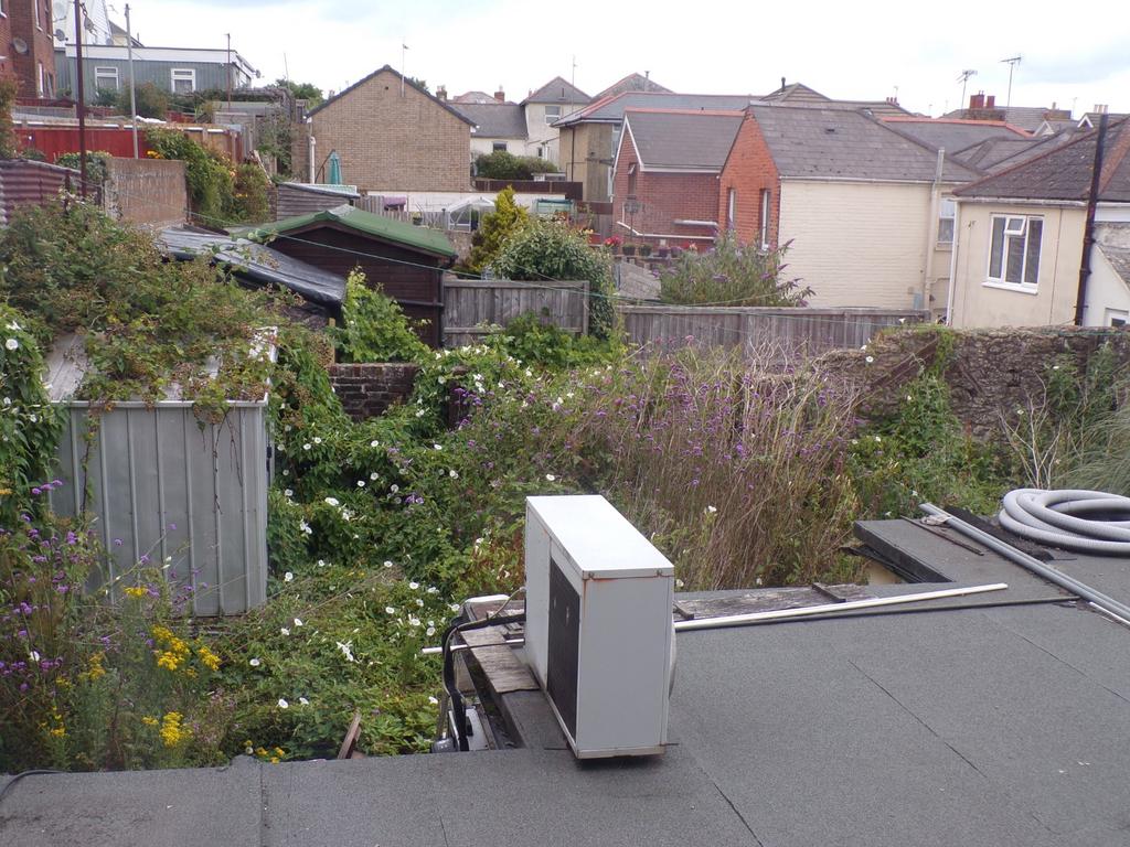 Small private garden